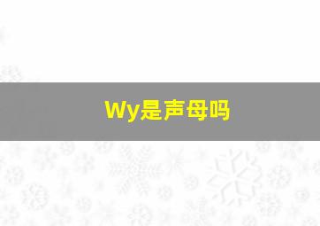 Wy是声母吗