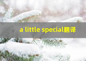 a little special翻译