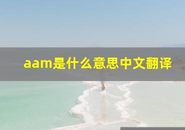 aam是什么意思中文翻译