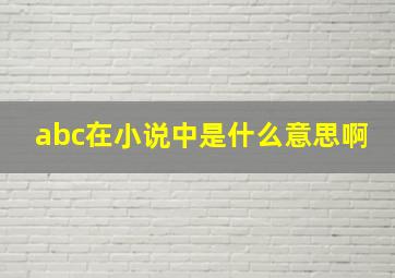 abc在小说中是什么意思啊