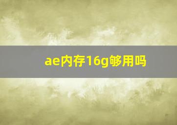 ae内存16g够用吗