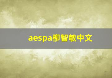 aespa柳智敏中文