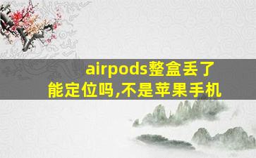 airpods整盒丢了能定位吗,不是苹果手机