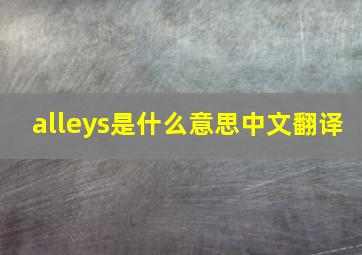 alleys是什么意思中文翻译