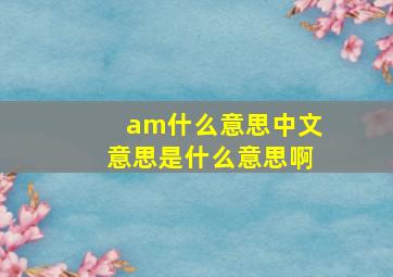 am什么意思中文意思是什么意思啊