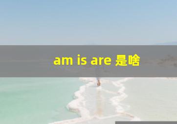 am is are 是啥