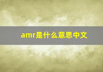 amr是什么意思中文