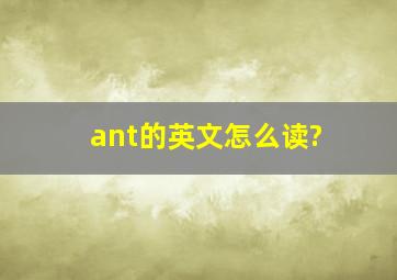 ant的英文怎么读?