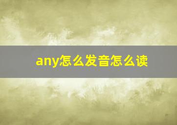 any怎么发音怎么读