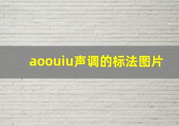 aoouiu声调的标法图片