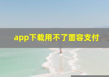 app下载用不了面容支付