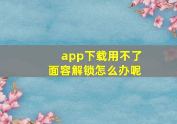 app下载用不了面容解锁怎么办呢