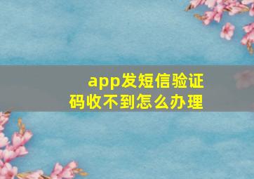 app发短信验证码收不到怎么办理