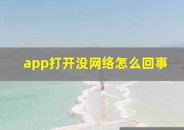 app打开没网络怎么回事