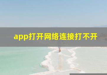 app打开网络连接打不开