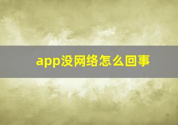 app没网络怎么回事