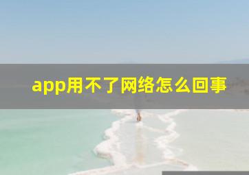 app用不了网络怎么回事