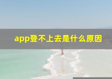 app登不上去是什么原因