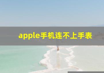 apple手机连不上手表