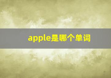 apple是哪个单词