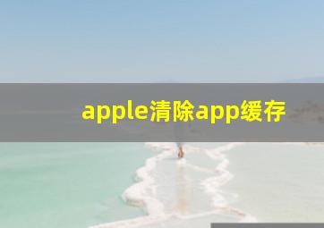 apple清除app缓存