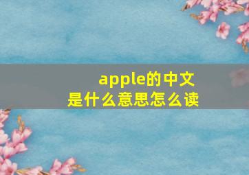 apple的中文是什么意思怎么读