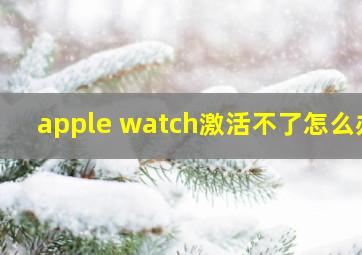 apple watch激活不了怎么办