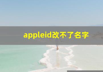 appleid改不了名字