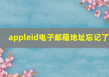 appleid电子邮箱地址忘记了