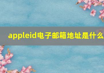 appleid电子邮箱地址是什么