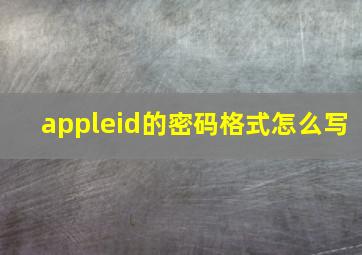 appleid的密码格式怎么写