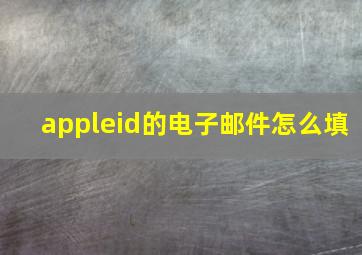 appleid的电子邮件怎么填