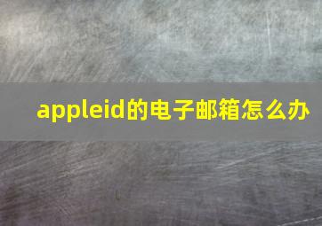 appleid的电子邮箱怎么办