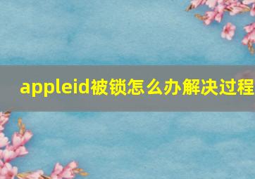 appleid被锁怎么办解决过程