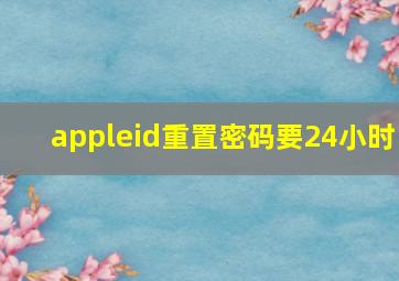 appleid重置密码要24小时