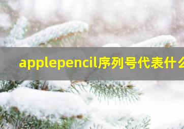 applepencil序列号代表什么