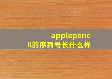 applepencil的序列号长什么样