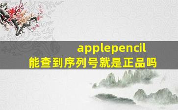 applepencil能查到序列号就是正品吗