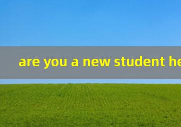 are you a new student here翻译