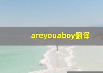 areyouaboy翻译