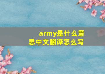 army是什么意思中文翻译怎么写