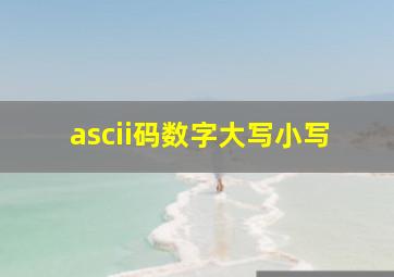 ascii码数字大写小写