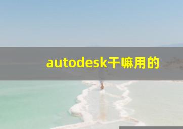 autodesk干嘛用的