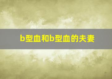 b型血和b型血的夫妻