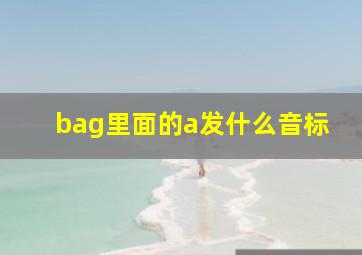 bag里面的a发什么音标