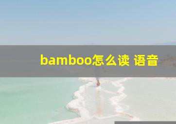 bamboo怎么读 语音