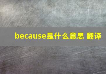 because是什么意思 翻译