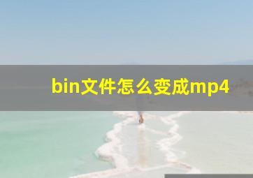 bin文件怎么变成mp4