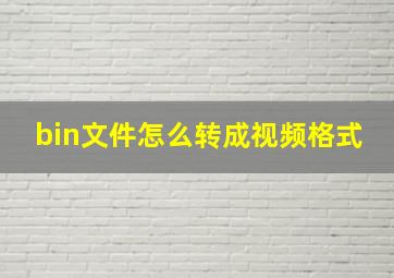 bin文件怎么转成视频格式