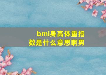 bmi身高体重指数是什么意思啊男